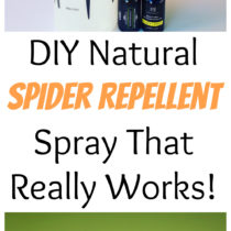 spider repellent